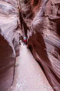 A hiker walking through the Wire Pass narrows.  This exceedingly narrow slot canyon, in some places only two feet wide, is formed by water erosion which cuts slots deep into the surrounding sandstone plateau, Paria Canyon-Vermilion Cliffs Wilderness, Arizona