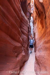 A hiker walking through the Wire Pass narrows.  This exceedingly narrow slot canyon, in some places only two feet wide, is formed by water erosion which cuts slots deep into the surrounding sandstone plateau, Paria Canyon-Vermilion Cliffs Wilderness, Arizona