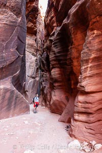 A hiker walking through the Wire Pass narrows.  This exceedingly narrow slot canyon, in some places only two feet wide, is formed by water erosion which cuts slots deep into the surrounding sandstone plateau, Paria Canyon-Vermilion Cliffs Wilderness, Arizona