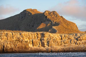 Wolf Island is the largest of the islands in the distant northern island group of the Galapagos archipelago, is home to hundreds of thousands of seabirds.  Vast schools of sharks and fish inhabit the waters surrounding Wolf Island.