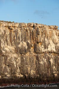 Seacliffs, home of many seabirds, Wolf Island