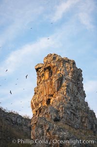 Wolf Island and natural volcanic pillar