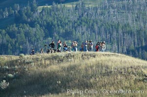 Wolf watchers gather on a bluff near Slough Creek with high power field scopes and binoculars to observe the Slough Creek pack of wolves, Lamar Valley, Yellowstone National Park, Wyoming