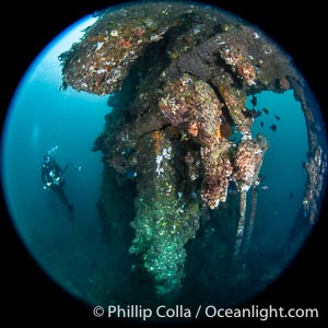 Wreck of the Portland Maru, some structure still visible, Kangaroo Island, South Australia. The Portland Maru was a 117-meter Japanese cargo ship which struck a submerged object and was beached near Cape Borda, Kangaroo Island, on March 19, 1935