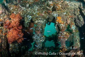 Wreck of the Portland Maru, some structure still visible, Kangaroo Island, South Australia. The Portland Maru was a 117-meter Japanese cargo ship which struck a submerged object and was beached near Cape Borda, Kangaroo Island, on March 19, 1935