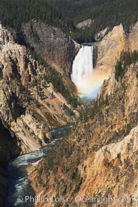 A rainbow appears in the mist of the Lower Falls of the Yellowstone River.  At 308 feet, the Lower Falls of the Yellowstone River is the tallest fall in the park.  This view is from the famous and popular Artist Point on the south side of the Grand Canyon of the Yellowstone.  When conditions are perfect in midsummer, a morning rainbow briefly appears in the falls, Yellowstone National Park, Wyoming