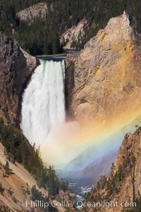 A rainbow appears in the mist of the Lower Falls of the Yellowstone River.  At 308 feet, the Lower Falls of the Yellowstone River is the tallest fall in the park.  This view is from the famous and popular Artist Point on the south side of the Grand Canyon of the Yellowstone.  When conditions are perfect in midsummer, a morning rainbow briefly appears in the falls. Yellowstone National Park, Wyoming, USA, natural history stock photograph, photo id 13330
