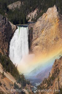 A rainbow appears in the mist of the Lower Falls of the Yellowstone River.  At 308 feet, the Lower Falls of the Yellowstone River is the tallest fall in the park.  This view is from the famous and popular Artist Point on the south side of the Grand Canyon of the Yellowstone.  When conditions are perfect in midsummer, a morning rainbow briefly appears in the falls, Yellowstone National Park, Wyoming