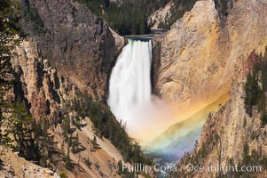 A rainbow appears in the mist of the Lower Falls of the Yellowstone River.  A long exposure blurs the fast-flowing water.  At 308 feet, the Lower Falls of the Yellowstone River is the tallest fall in the park.  This view is from the famous and popular Artist Point on the south side of the Grand Canyon of the Yellowstone.  When conditions are perfect in midsummer, a morning rainbow briefly appears in the falls, Yellowstone National Park, Wyoming