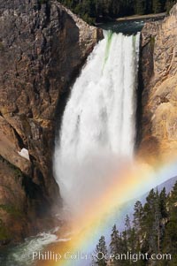 A rainbow appears in the mist of the Lower Falls of the Yellowstone River.  At 308 feet, the Lower Falls of the Yellowstone River is the tallest fall in the park.  This view is from Lookout Point on the North side of the Grand Canyon of the Yellowstone.  When conditions are perfect in midsummer, a midmorning rainbow briefly appears in the falls.