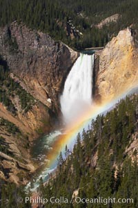 A rainbow appears in the mist of the Lower Falls of the Yellowstone River.  At 308 feet, the Lower Falls of the Yellowstone River is the tallest fall in the park.  This view is from Lookout Point on the North side of the Grand Canyon of the Yellowstone.  When conditions are perfect in midsummer, a midmorning rainbow briefly appears in the falls, Yellowstone National Park, Wyoming