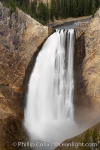 Lower Yellowstone Falls. At 308 feet, the Lower Falls of the Yellowstone River is the tallest fall in the park. This view is from Lookout Point on the North side of the Grand Canyon of the Yellowstone, Yellowstone National Park, Wyoming