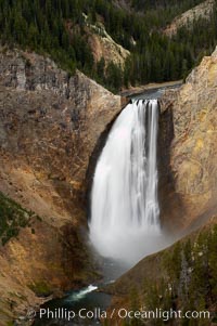Lower Yellowstone Falls. At 308 feet, the Lower Falls of the Yellowstone River is the tallest fall in the park. This view is from Lookout Point on the North side of the Grand Canyon of the Yellowstone, Yellowstone National Park, Wyoming
