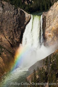 Yellowstone Falls viewed from Lookout Point with a rainbow.  Lower Yellowstone Falls cascades 308' in a thundering plunge into the Grand Canyon of the Yellowstone River, Yellowstone National Park, Wyoming