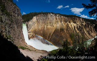 Panorama of Yellowstone Falls from Uncle Tom's Trail, Grand Canyon of the Yellowstone, Yellowstone National Park, Wyoming.