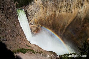 Yellowstone Falls from Uncle Tom's Trail.  Lower Yellowstone Falls shows a beautiful rainbow as it cascades 308' in a thundering plunge into the Grand Canyon of the Yellowstone River, Yellowstone National Park, Wyoming