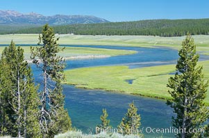 The Yellowstone River flows through the Hayden Valley.