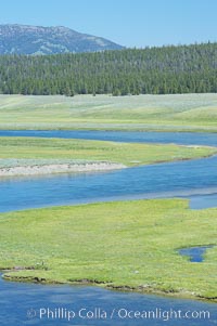 The Yellowstone River flows through the Hayden Valley, Yellowstone National Park, Wyoming