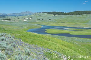 The Yellowstone River flows through the Hayden Valley, Yellowstone National Park, Wyoming