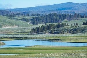 The Yellowstone River flows through the Hayden Valley, Yellowstone National Park, Wyoming