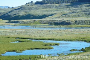 The Yellowstone River flows through the Hayden Valley, Yellowstone National Park, Wyoming