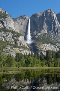 Yosemite Falls rises above Cooks Meadow.  The 2425 falls, the tallest in North America, is at peak flow during a warm-weather springtime melt of Sierra snowpack.  Yosemite Valley, Yosemite National Park, California