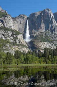 Yosemite Falls rises above Cooks Meadow.  The 2425 falls, the tallest in North America, is at peak flow during a warm-weather springtime melt of Sierra snowpack.  Yosemite Valley, Yosemite National Park, California