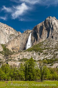 Yosemite Falls and Cooks Meadow in spring, Yosemite National Park