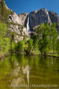 Yosemite Falls rises above the Merced River, viewed from the Swinging Bridge. The 2425' falls is the tallest in North America, Yosemite National Park, California