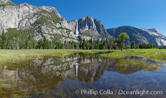 Yosemite Falls reflected in flooded meadow.  The Merced  River floods its banks in spring, forming beautiful reflections of Yosemite Falls, Yosemite National Park, California