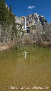 Yosemite Falls rises above the Merced River, viewed from Swinging Bridge, Yosemite National Park, California