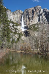 Yosemite Falls rises above the Merced River, viewed from Swinging Bridge, Yosemite National Park, California