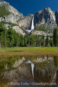 Yosemite Falls reflected in flooded meadow.  The Merced  River floods its banks in spring, forming beautiful reflections of Yosemite Falls, Yosemite National Park, California