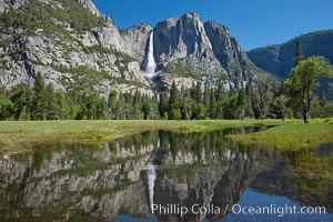 Yosemite Falls reflected in flooded meadow.  The Merced  River floods its banks in spring, forming beautiful reflections of Yosemite Falls, Yosemite National Park, California