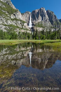 Yosemite Falls reflected in flooded meadow.  The Merced  River floods its banks in spring, forming beautiful reflections of Yosemite Falls, Yosemite National Park, California