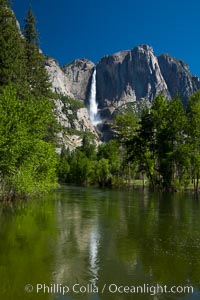 Yosemite Falls reflected in the Merced River, from Swinging Bridge.  The Merced  River is flooded with heavy springtime flow as winter snow melts in the high country above Yosemite Valley, Yosemite National Park, California