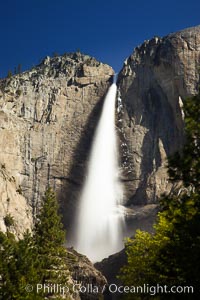 Yosemite Falls in peak flow, viewed from Cook's meadow, spring. Yosemite National Park, California, USA, natural history stock photograph, photo id 27758