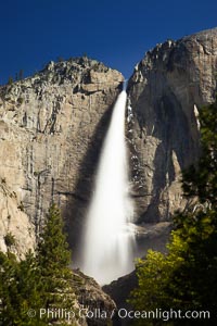 Yosemite Falls in peak flow, viewed from Cook's meadow, spring, Yosemite National Park, California