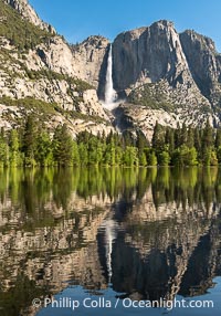 Yosemite Falls reflected in Flooded Sentinel Meadow, when the Merced River floods Yosemite Valley following a winter of historic snowfall in the Sierra Nevada, Yosemite National Park