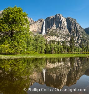 Yosemite Falls reflected in Flooded Sentinel Meadow, when the Merced River floods Yosemite Valley following a winter of historic snowfall in the Sierra Nevada, Yosemite National Park, May 2023