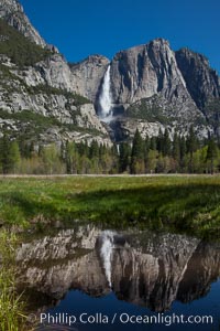 Yosemite Falls reflected in a meadow pool, spring.