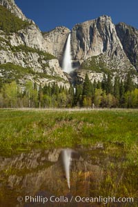 Yosemite Falls reflected in a meadow pool, spring.