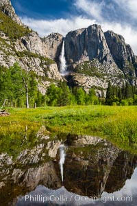 Yosemite Falls is reflected in a springtime pool in flooded Cooks Meadow, Yosemite Valley, Yosemite National Park, California