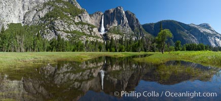 Yosemite Falls reflected in flooded meadow.  The Merced  River floods its banks in spring, forming beautiful reflections of Yosemite Falls.  Yosemite National Park.