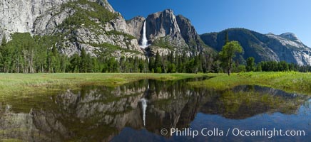 Yosemite Falls reflected in flooded meadow.  The Merced  River floods its banks in spring, forming beautiful reflections of Yosemite Falls, Yosemite National Park, California