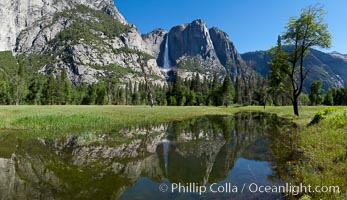 Yosemite Falls reflected in flooded meadow.  The Merced  River floods its banks in spring, forming beautiful reflections of Yosemite Falls, Yosemite National Park, California