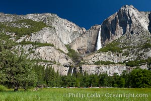 Yosemite Falls viewed from Cooks Meadow, spring, Yosemite National Park, California