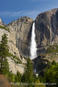 Yosemite Falls at peak flow in late spring, viewed from Cooks Meadow.