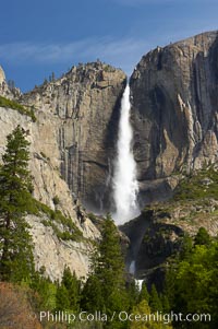 Yosemite Falls at peak flow in late spring, viewed from Cooks Meadow, Yosemite National Park, California