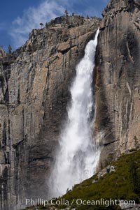 Upper Yosemite Falls near peak flow in spring.  Yosemite Falls, at 2425 feet tall (730m) is the tallest waterfall in North America and fifth tallest in the world.  Yosemite Valley, Yosemite National Park, California